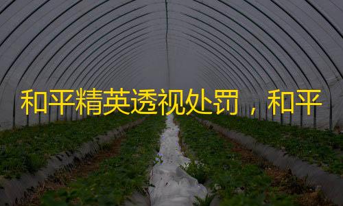 高能英雄科技辅助网站和平精英透视处罚，和平精英是不是取消信誉分了