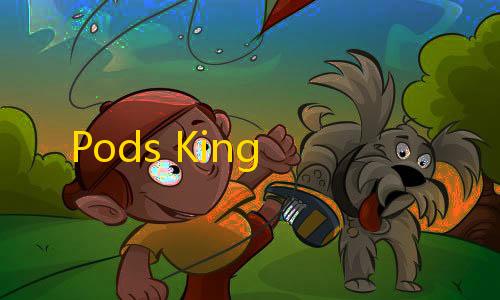 黑神话悟空电影Pods King